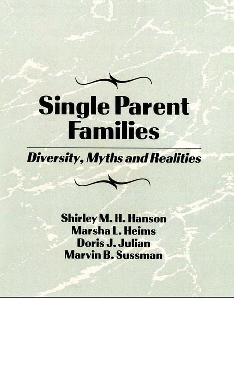 Produktbild: Single Parent Families