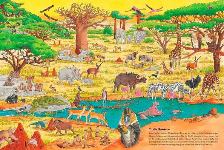 Produktbild: Duden 24+: Igel, Frosch & Elefant: Das gro&szlig;e Wimmelbuch der Tiere