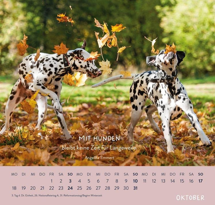 Produktbild: Wandkalender 2027: F&uuml;r Hundefreunde