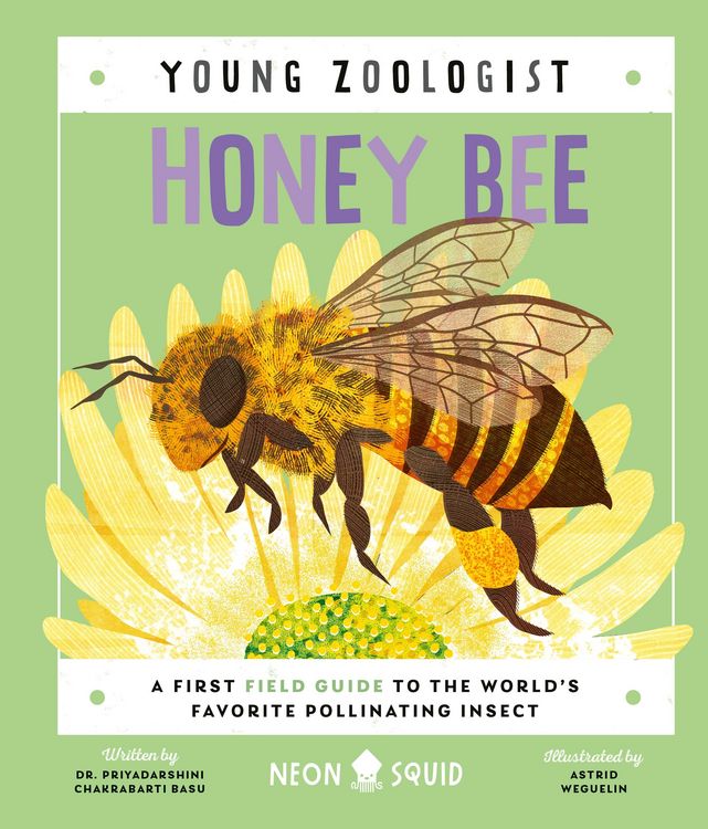 Produktbild: Honey Bee (Young Zoologist)
