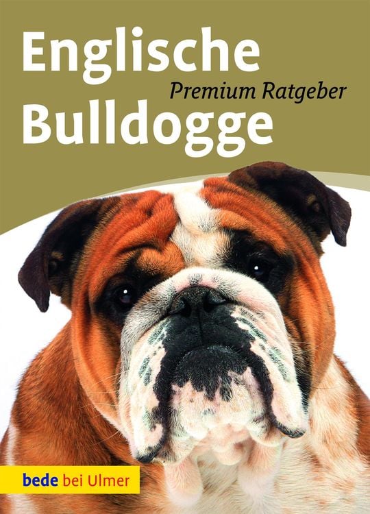 Bild vom Artikel Englische Bulldogge vom Autor Annette Schmitt