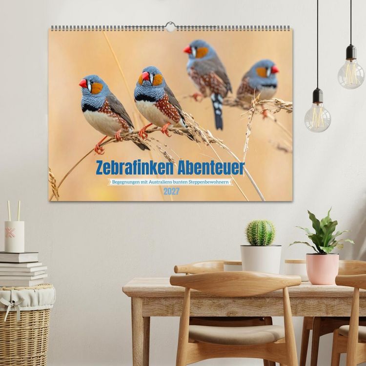 Produktbild: Zebrafinken Abenteuer (Wandkalender 2027 DIN A2 quer), CALVENDO Monatskalender