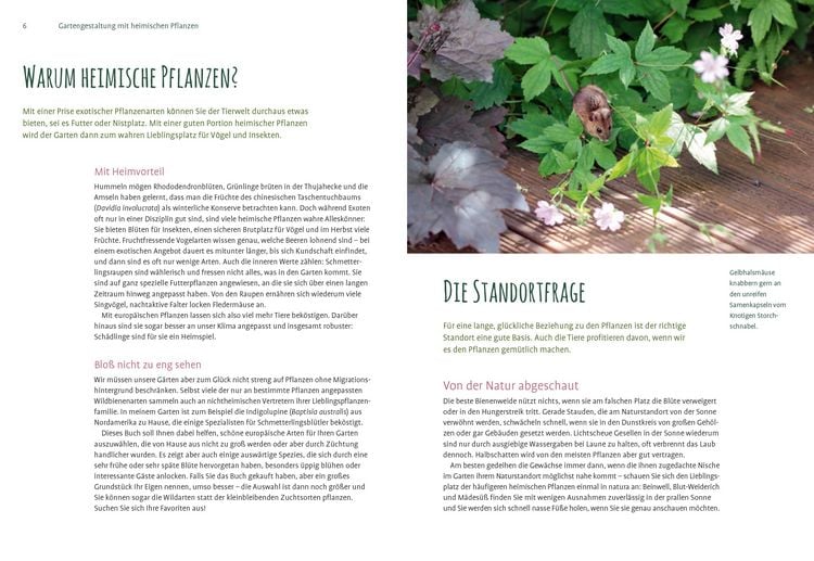 Produktbild: Heimische Pflanzen f&uuml;r den Garten