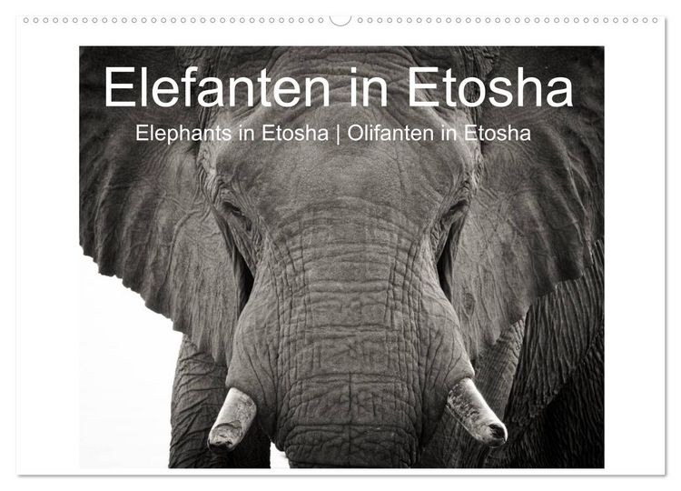 Produktbild: Elefanten in Etosha (Wandkalender 2026 DIN A2 quer), CALVENDO Monatskalender