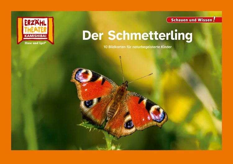 Produktbild: Der Schmetterling / Kamishibai Bildkarten