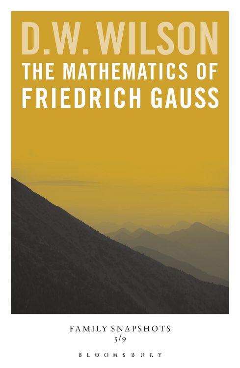 Produktbild: The Mathematics of Friedrich Gauss