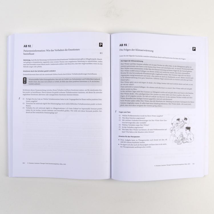 Produktbild: Therapie-Tools Emotionsregulation