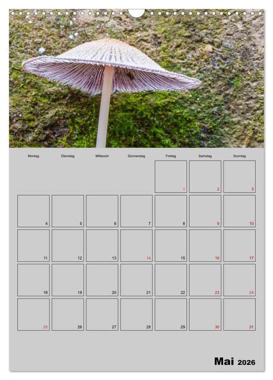 Produktbild: Quer durch die Pilze (Wandkalender 2026 DIN A3 hoch), CALVENDO Monatskalender