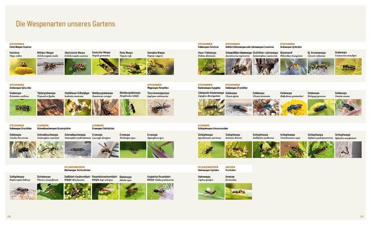 Produktbild: Mein Artenretter Garten
