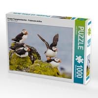 Produktbild: CALVENDO Puzzle Gruppe Papageientaucher - Fratercula arctica 1000 Teile Lege-Gr&ouml;&szlig;e 64 x 48 cm Foto-Puzzle Bild von Janita Webeler
