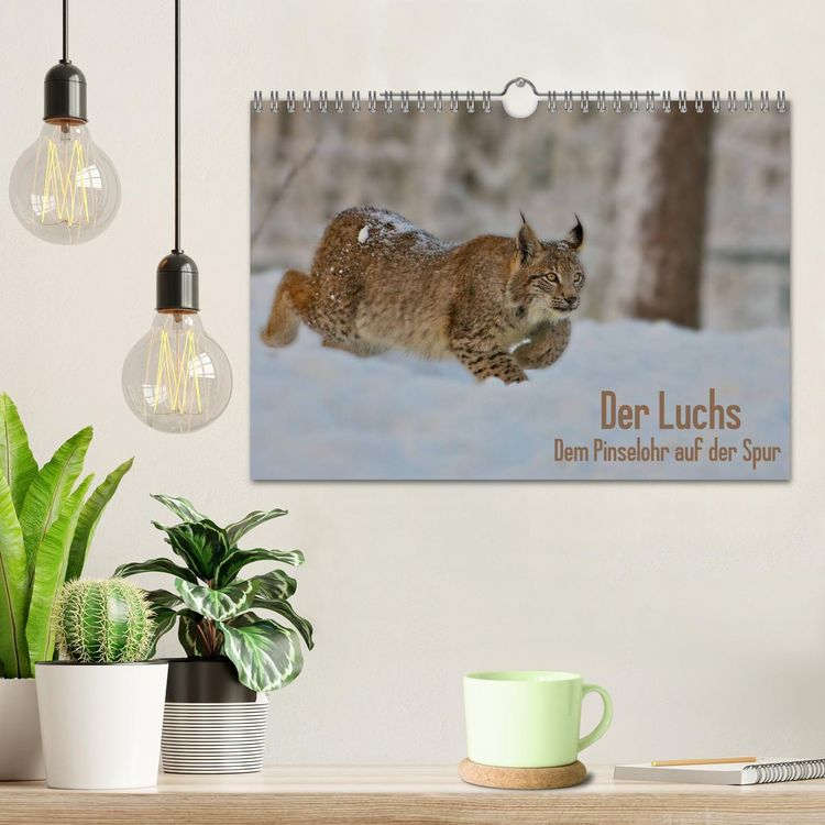 Produktbild: Der Luchs - Dem Pinselohr auf der Spur (Wandkalender 2026 DIN A4 quer), CALVENDO Monatskalender