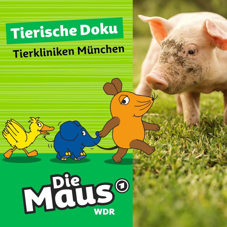 Produktbild: Die Maus, Tierische Doku - Tierkliniken M&uuml;nchen
