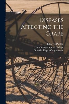 Produktbild: Diseases Affecting the Grape [microform]