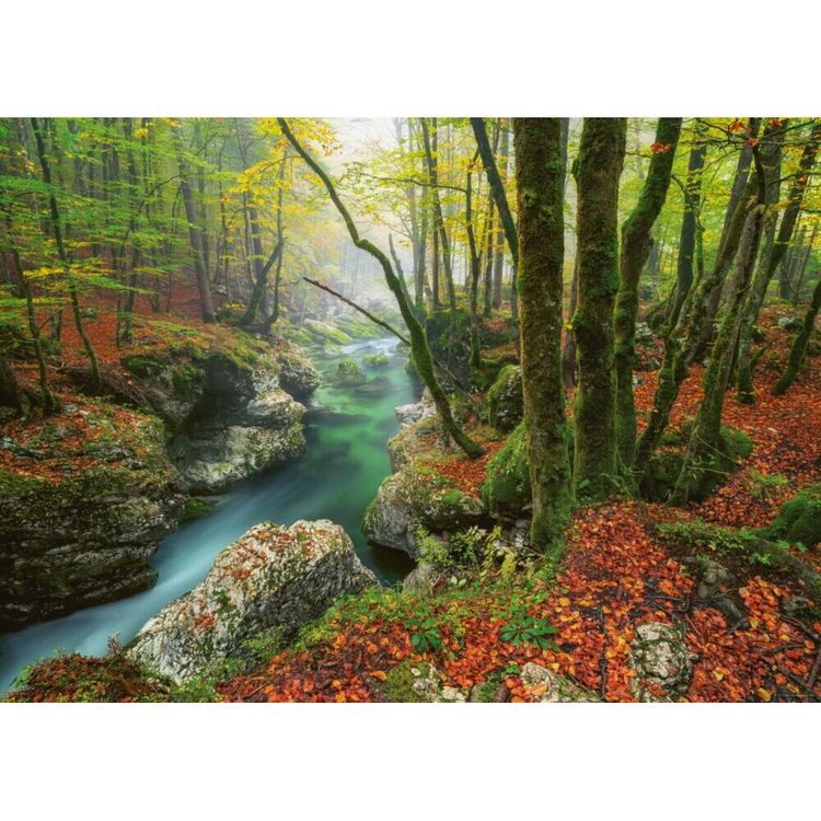 Produktbild: Little Brook / Magic Forests