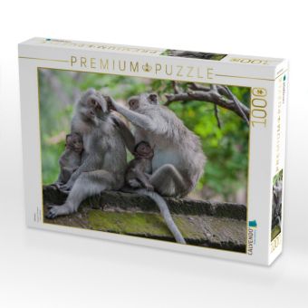 Produktbild: CALVENDO Puzzle Makaken | 1000 Teile Lege-Gr&ouml;&szlig;e 64x48cm Foto-Puzzle f&uuml;r gl&uuml;ckliche Stunden