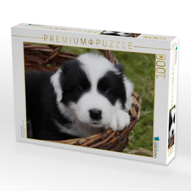 Produktbild: CALVENDO Puzzle Border Collie Welpe | 1000 Teile Lege-Gr&ouml;&szlig;e 64x48cm Foto-Puzzle f&uuml;r gl&uuml;ckliche Stunden