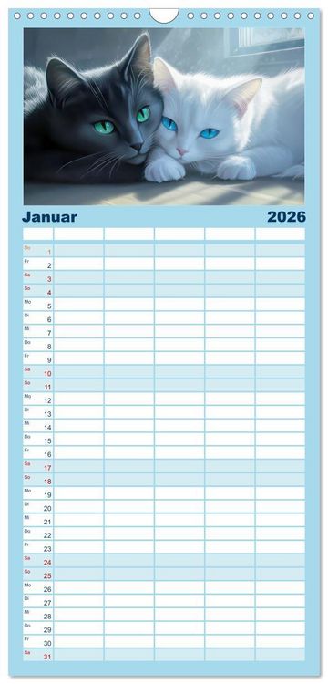 Produktbild: Familienplaner 2026 - Katzen Illustrationen - Faszination pur mit 5 Spalten (Wandkalender, 21 x 45 cm) CALVENDO