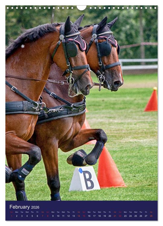 Produktbild: Carriage Driving - Horses in Action (Wall Calendar 2026 DIN A3 portrait), CALVENDO 12 Month Wall Calendar