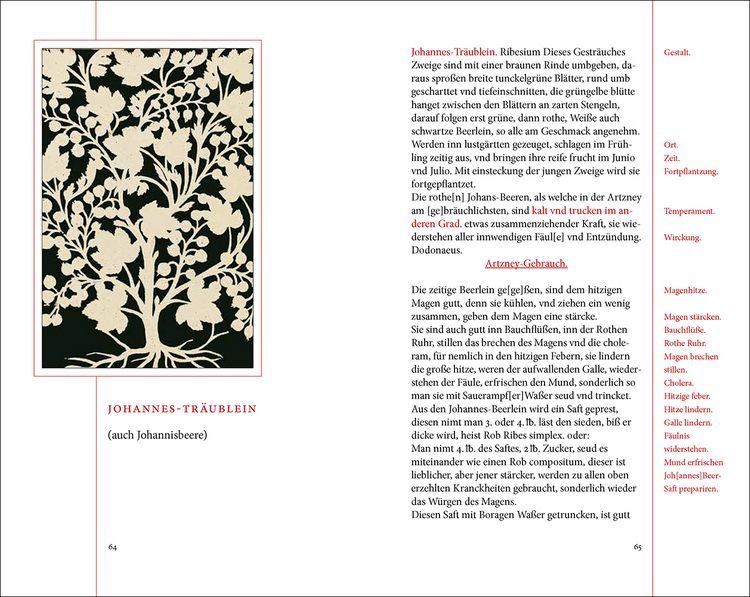 Produktbild: Das Kräuterbuch des Johann Christoph Ende