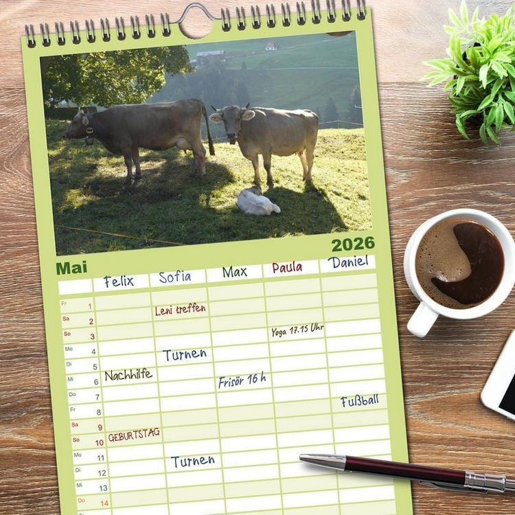 Produktbild: Familienplaner 2026 - K&uuml;he mit H&ouml;rnern mit 5 Spalten (Wandkalender, 21 x 45 cm) CALVENDO