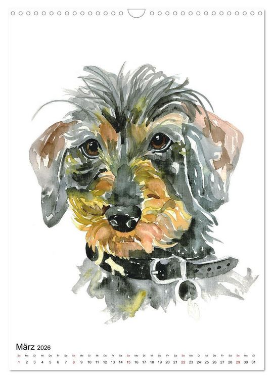 Produktbild: Hunde Portr&auml;ts in Aquarell (Wandkalender 2026 DIN A3 hoch), CALVENDO Monatskalender