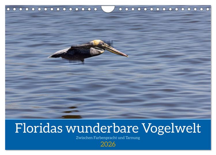 Produktbild: Floridas wunderbare Vogelwelt (Wandkalender 2026 DIN A4 quer), CALVENDO Monatskalender