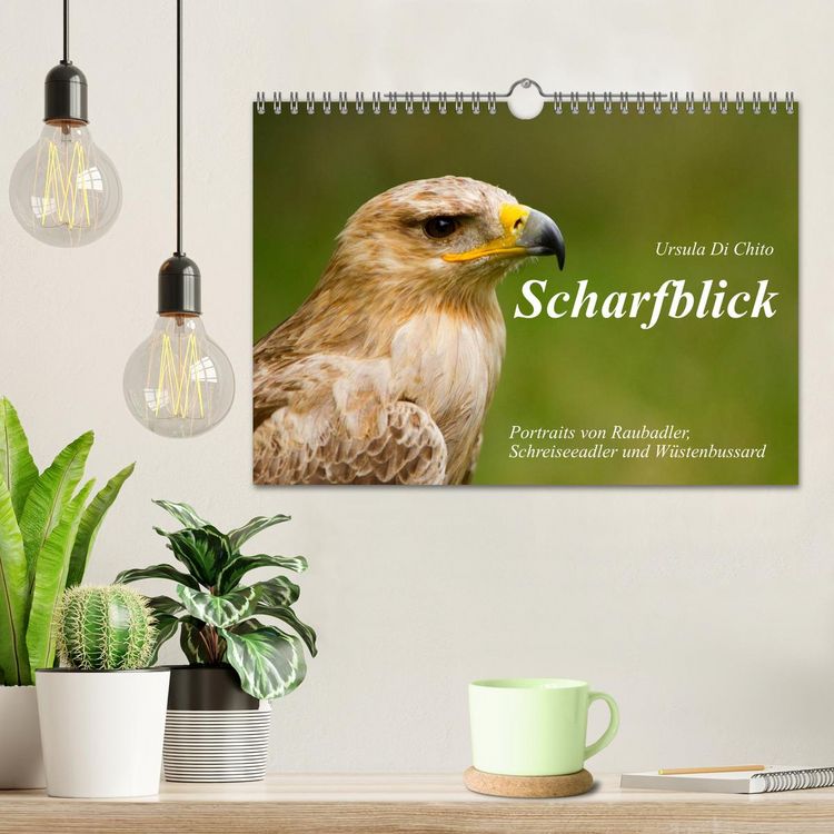 Produktbild: Scharfblick (Wandkalender 2026 DIN A4 quer), CALVENDO Monatskalender