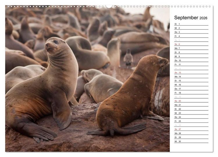 Produktbild: Kalifornien USA (Wandkalender 2026 DIN A2 quer), CALVENDO Monatskalender