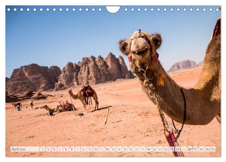 Produktbild: Jordanien - Wadis - W&uuml;ste - Weltwunder (Wandkalender 2026 DIN A4 quer), CALVENDO Monatskalender