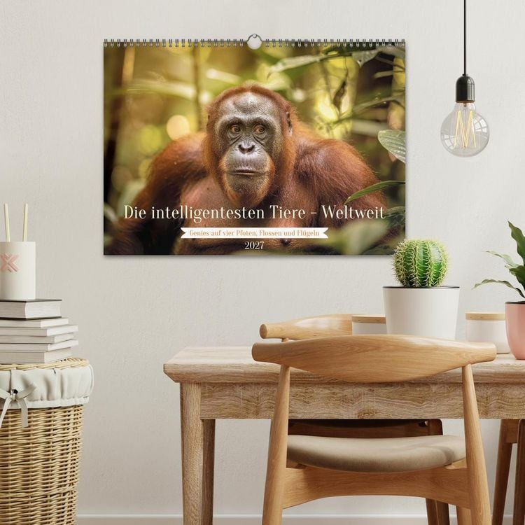 Produktbild: Die intelligentesten Tiere - Weltweit (Wandkalender 2027 DIN A3 quer), CALVENDO Monatskalender