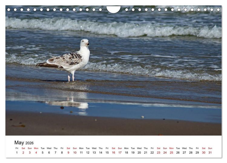 Produktbild: The Sea - A place for dreams (Wall Calendar 2026 DIN A4 landscape), CALVENDO 12 Month Wall Calendar