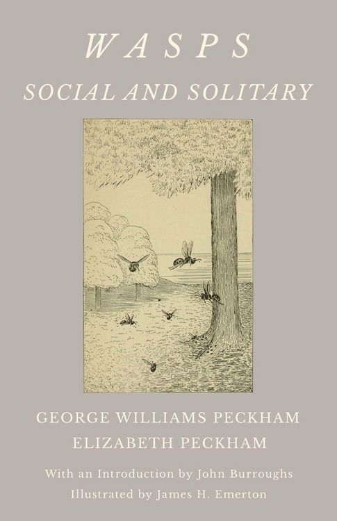 Produktbild: Wasps - Social and Solitary;With an Introduction by John Burroughs - Illustrated by James H. Emerton