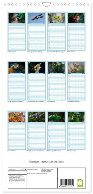 Produktbild: Familienplaner 2026 - Papageien - Frech, sch&ouml;n und schlau mit 5 Spalten (Wandkalender, 21 x 45 cm) CALVENDO