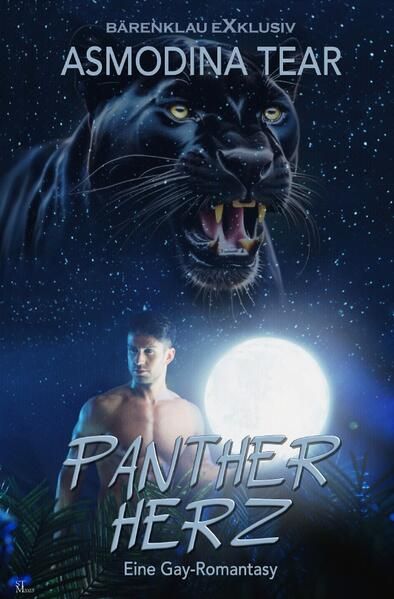 Produktbild: Pantherherz &ndash; Eine Gay-Romantasy