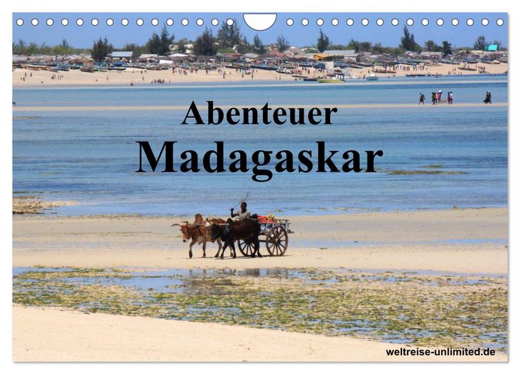 Produktbild: Abenteuer Madagaskar (Wandkalender 2026 DIN A4 quer), CALVENDO Monatskalender