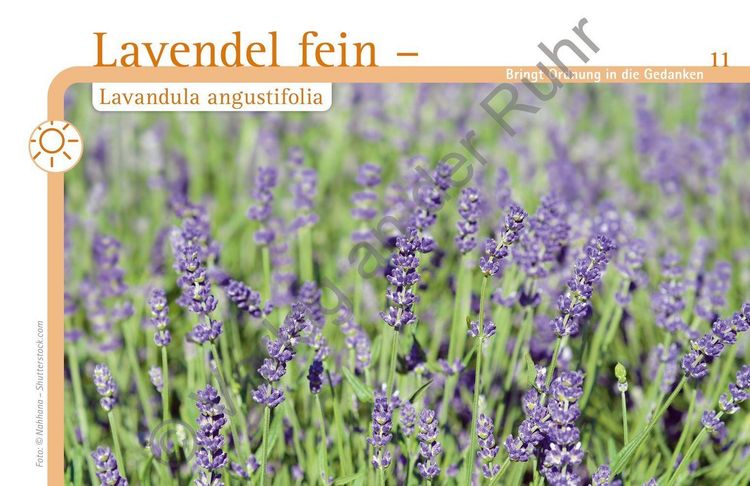 Produktbild: Aromapflege f&uuml;r Menschen mit Demenz