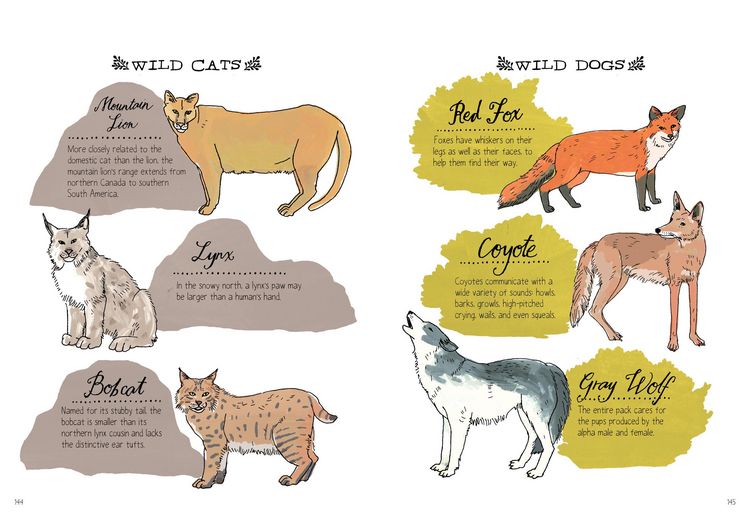 Produktbild: Nature Anatomy