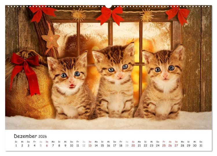 Produktbild: K&auml;tzchen 2026 (hochwertiger Premium Wandkalender 2026 DIN A2 quer), Kunstdruck in Hochglanz