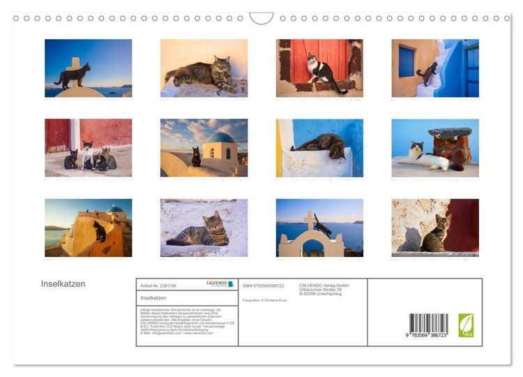 Produktbild: Inselkatzen (Wandkalender 2027 DIN A3 quer), CALVENDO Monatskalender