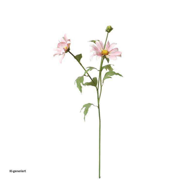 Produktbild: HTI-Living Produkt 29198 Artikel 45603