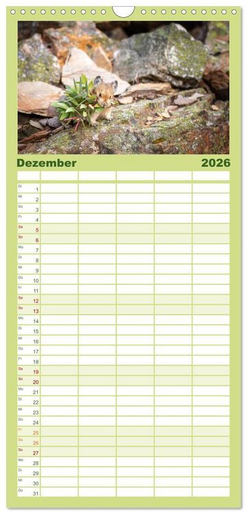 Produktbild: Familienplaner 2026 - Wildtierkalender mit 5 Spalten (Wandkalender, 21 x 45 cm) CALVENDO