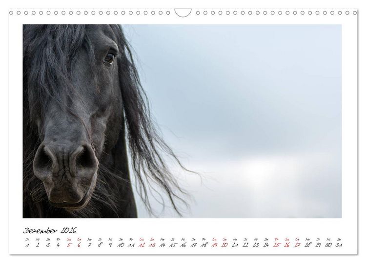 Produktbild: Friesen - stolze Giganten (Wandkalender 2026 DIN A3 quer), CALVENDO Monatskalender