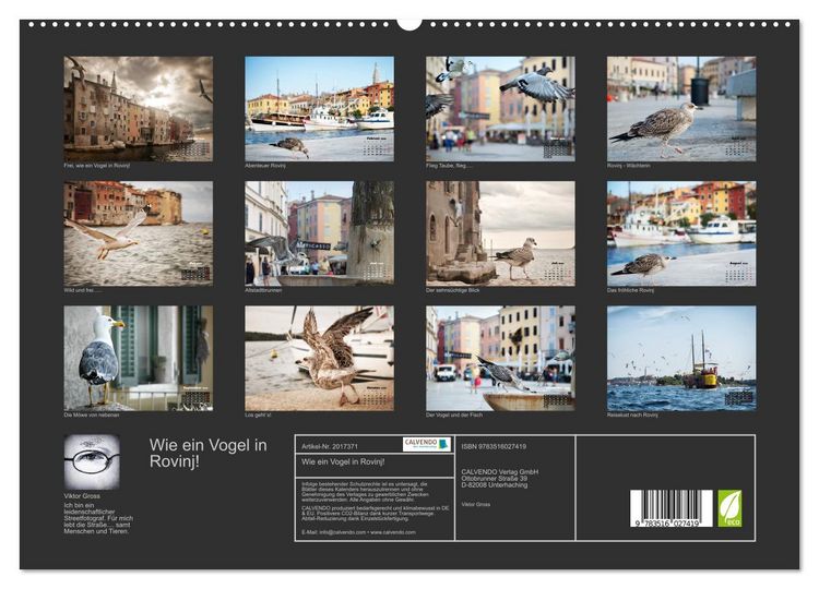 Produktbild: Wie ein Vogel in Rovinj! (hochwertiger Premium Wandkalender 2026 DIN A2 quer), Kunstdruck in Hochglanz