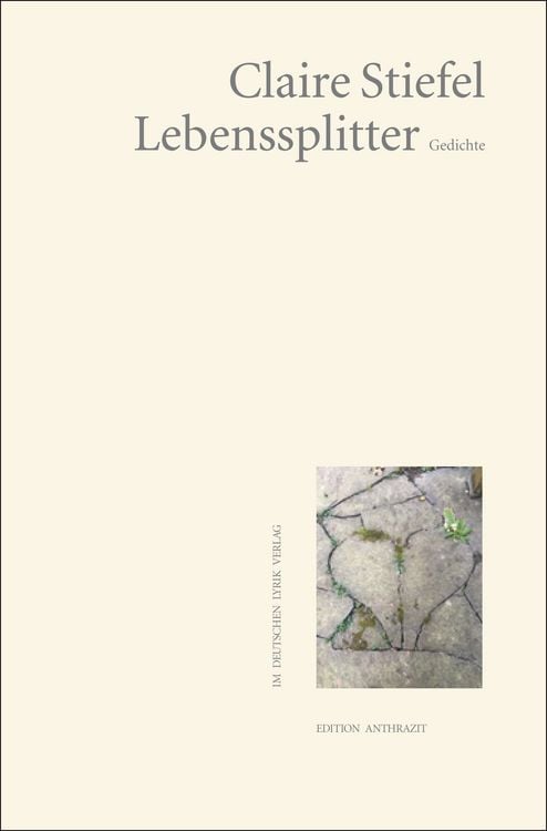 Produktbild: Lebenssplitter