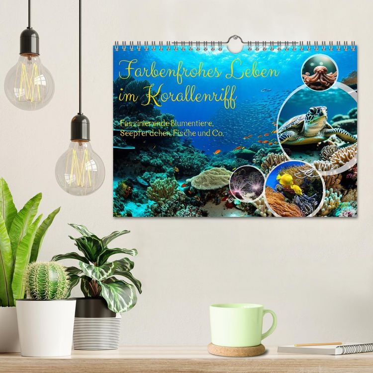 Produktbild: Farbenfrohes Leben im Korallenriff (Wandkalender 2026 DIN A4 quer), CALVENDO Monatskalender