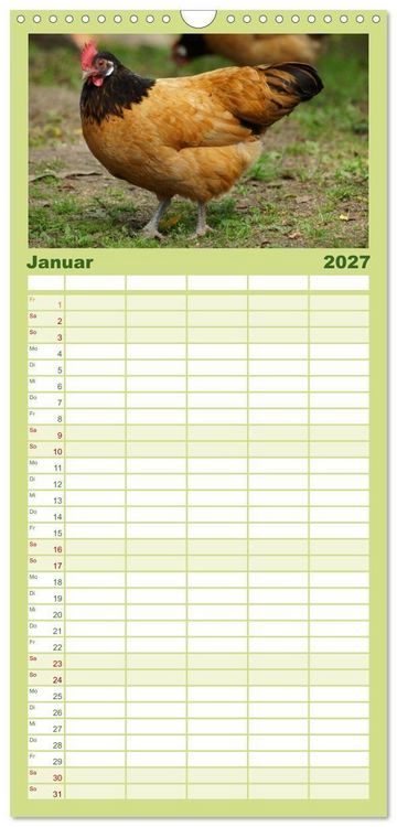 Produktbild: Familienplaner 2027 - Die Welt der H&uuml;hner mit 5 Spalten (Wandkalender, 21 x 45 cm) CALVENDO