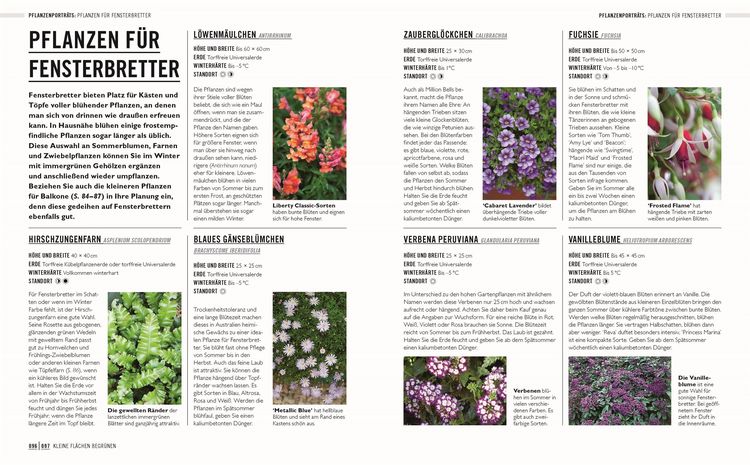 Produktbild: Gr&uuml;nes Gartenwissen. Kleine G&auml;rten (X)