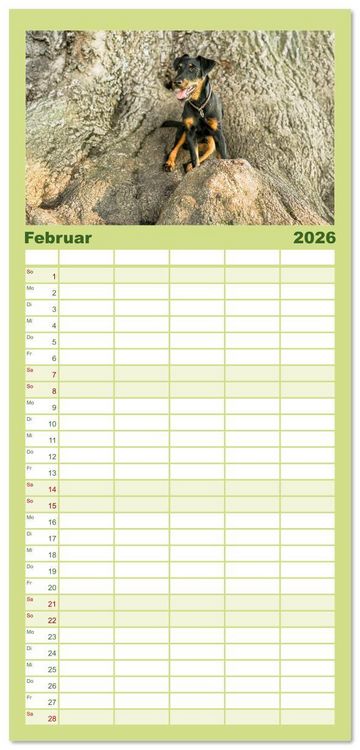 Produktbild: Familienplaner 2026 - Deutscher Terrier - ein leidenschaftlicher J&auml;ger mit 5 Spalten (Wandkalender, 21 x 45 cm) CALVENDO
