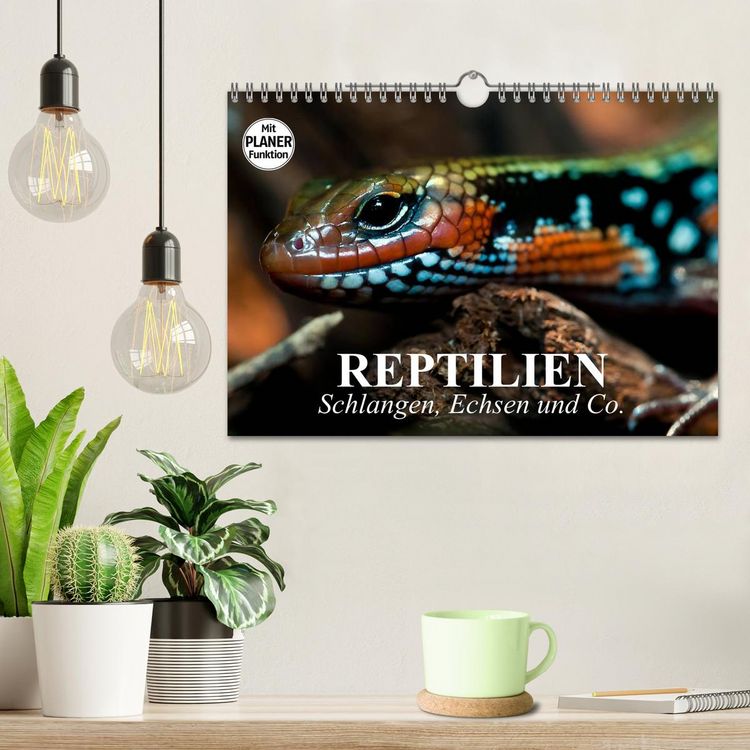 Produktbild: Reptilien. Schlangen, Echsen und Co. (Wandkalender 2026 DIN A4 quer), CALVENDO Monatskalender
