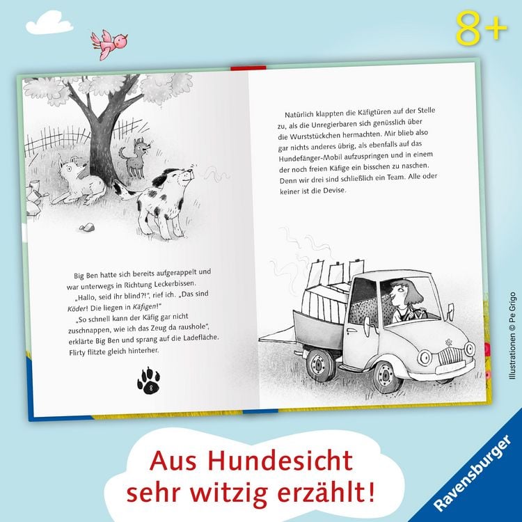 Produktbild: 3 Streuner wittern das Abenteuer